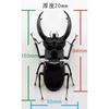 BACALYSO | Nirvana Rhinoceros Stag Beetle Figure, Refrigerator Ornament, Magnetic, Realistic Insect Beetle, Resin, Adult-Friendly, Plastic Model Toy,