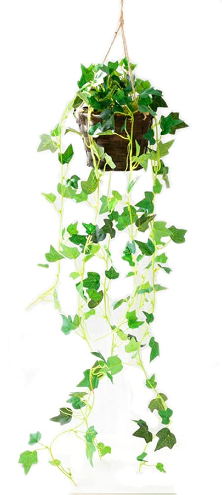 

Касание Поддельное Зеленое Подвесное Искусственное Комнатное Растение Настенное Подвесное Искусственный Цветок Интерьер Зеленый 70см (Плющ)