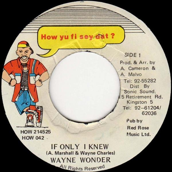 

7inch Record WAYNE WONDER - If Only I Knew HOW042 How Yu Fi Sey D 1994 Jamaica Reggae, Ska & Dub Used