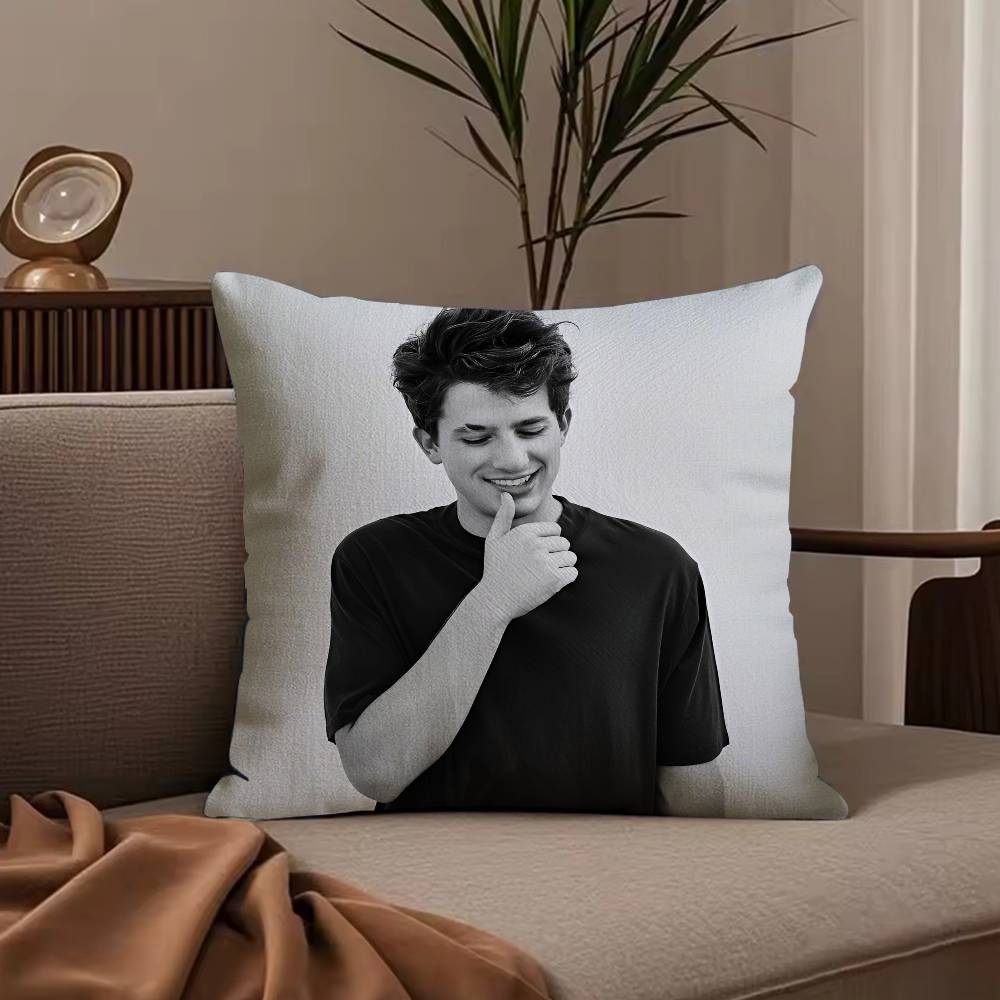 Singer C-Charlie PuthS Pillow Case Anti-dustmite Pillowcase Invisible Zipper Silky Short Plush Sofa Cushion Cover