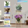 KEBMCHN Flower Plant Length X Width Height Iron Art Planter Iron Flower Shelf Flower Creative Green Succulent Flower Indoor Plant Flower Flower Pot