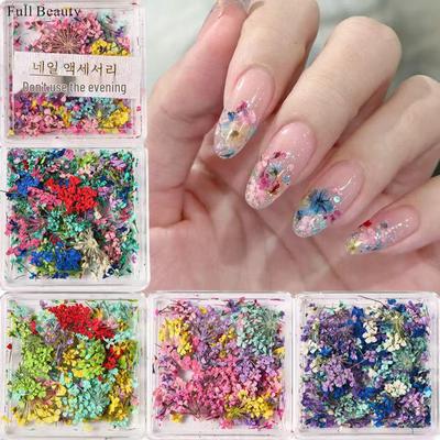 Accesorii pentru Manichiură Japoneză: Dantelă Multicoloră, Flori Mici, Gypsophila, Flori Uscate pentru Artă pe Unghii DIY