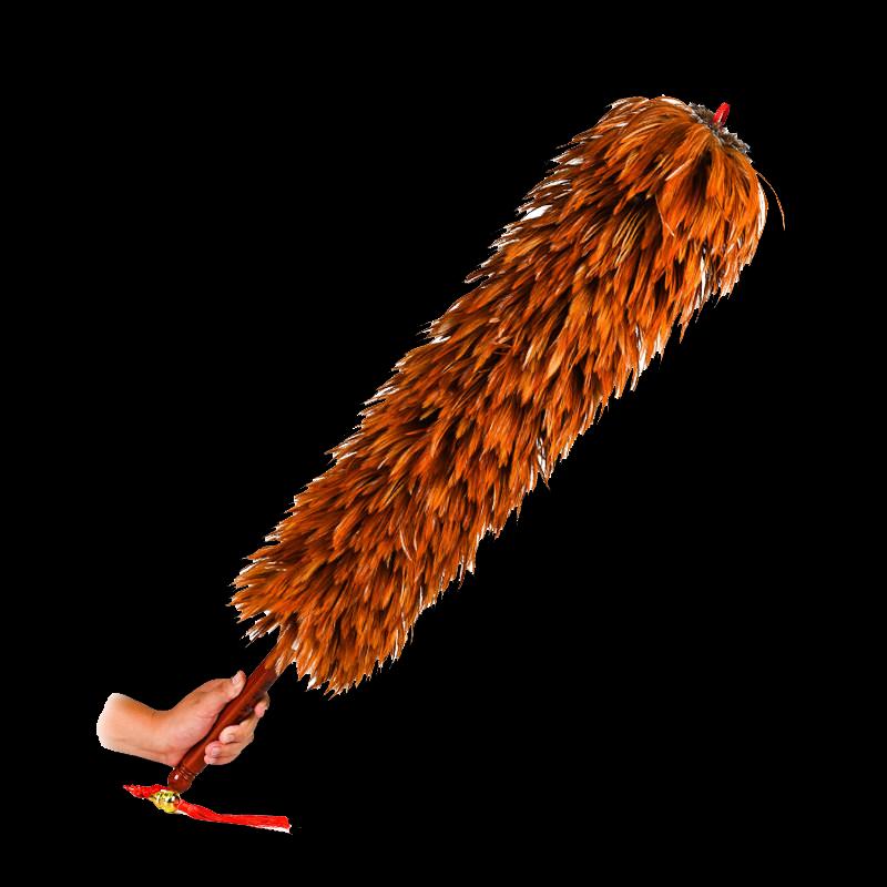 Feather Duster