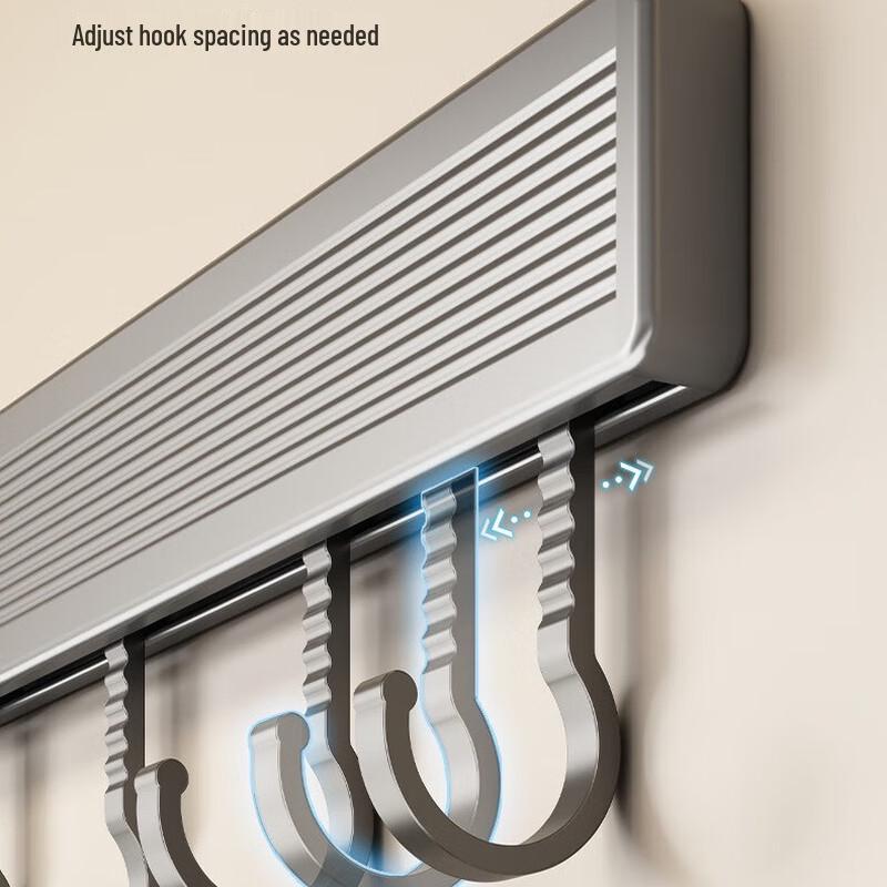 DANLE Wall-Mounted Aluminum Hook Rail