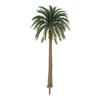 5Pcs Plastic Coconut Palm Tree Miniature Plant Pots Bonsai Craft Micro Landscape DIY Decor  Scenery Model