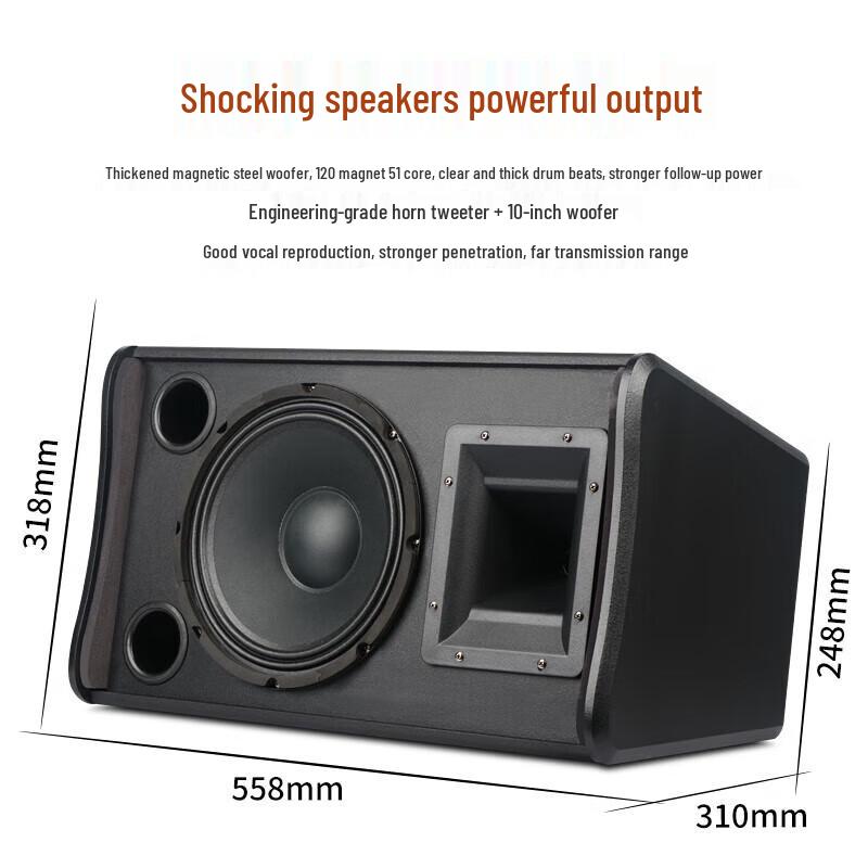 SHILE Professional Wall-Mounted 10-Inch Conference & Home Theater Speakers (CN Version)