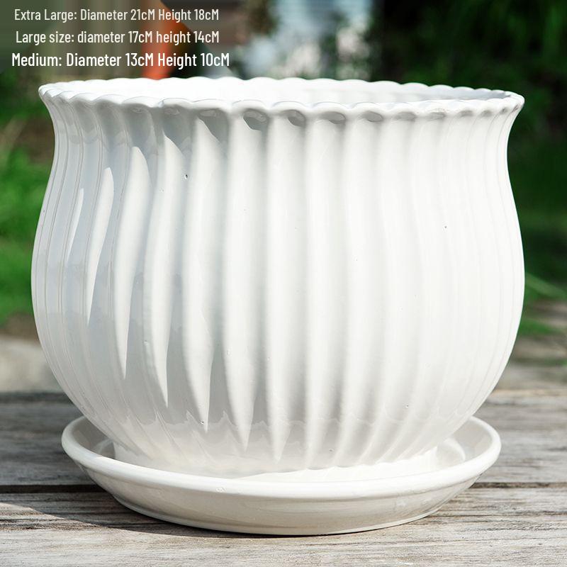Nordic White Ceramic Flower Pot with Tray - Large & Extra Large for Pothos & Succulents