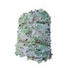 Single Layer Camo Net for Jungle, Desert, Ocean, Mountain, Anti-Drone Protection, In Stock