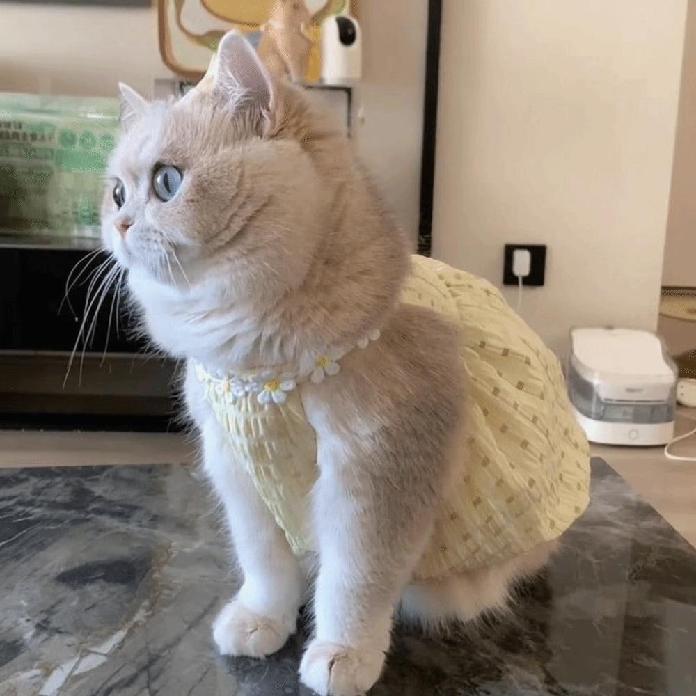 Sweet Cat Princess Skirt Soft Puppy Dresses Fashion Dog Plaid Dress  Spring Summer