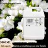 Aroma Essential Oil Diffuser: Commercial Fragrance Machine with 5L Refill for Hotels and Clubs