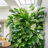 1-Pack Artificial Green Plant Wall Panel with Monstera & Palm Leaves - Wooden Fence Design for Indoor/Outdoor Privacy, Home Decor, Natural Aesthetic