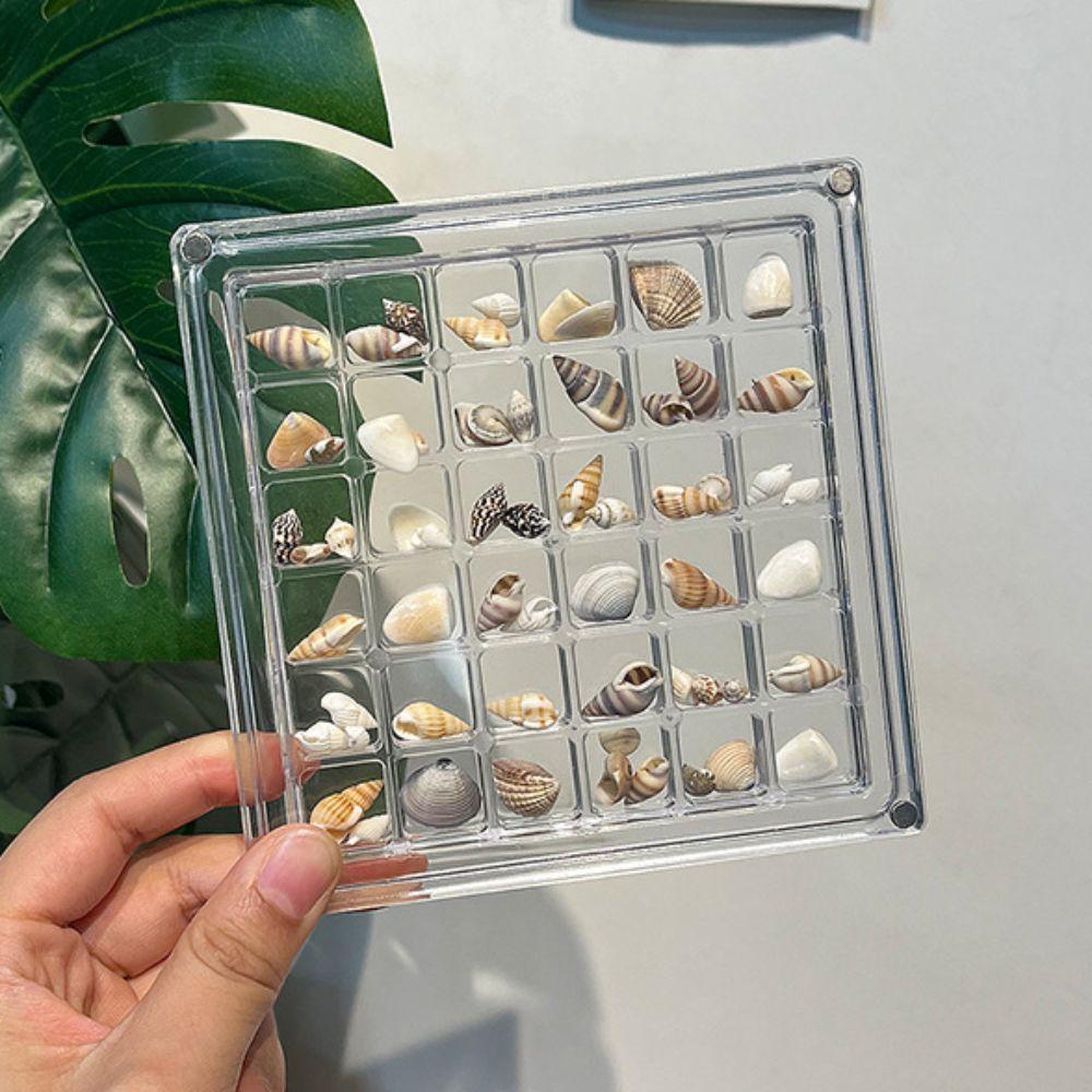 Acrylic Magnetic Seashell Display Box Stackable Beads Collection Box Seashell Storage Box Gifts