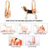 Standing Dog Lift Harness Dog Recovery Sling Pet Supplies Dog Support Harness Pet Recovery Vest