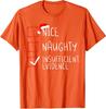 Nice Naughty Insufficient Evidence Christmas Santa Unisex T-Shirt