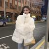 Autumn Winter New Thickened Fur One Piece Imitation Rabbit Hair Lamb Fur Standing Collar Loose Fur Coat Fashion Women