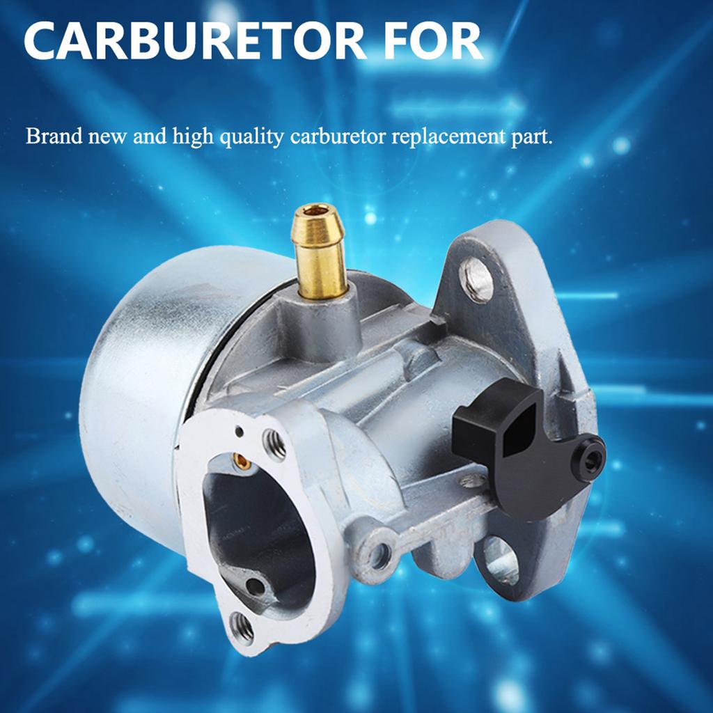 Carburetor For 497586 498170 799868 498254 497314