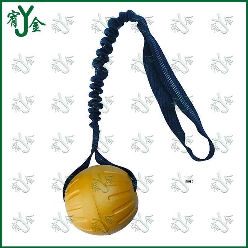 Youjin EVA Floating Training Dog Toy Ball