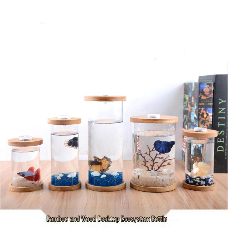 Eco-Friendly Mini Fish Micro-Landscape Aquarium: No-Water-Change Desktop Tank for Betta Fish