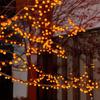 Persimmons String Light Waterproof Battery Operated Artificial Fruit Lights for Outdoor Garden Christmas Tree Decor