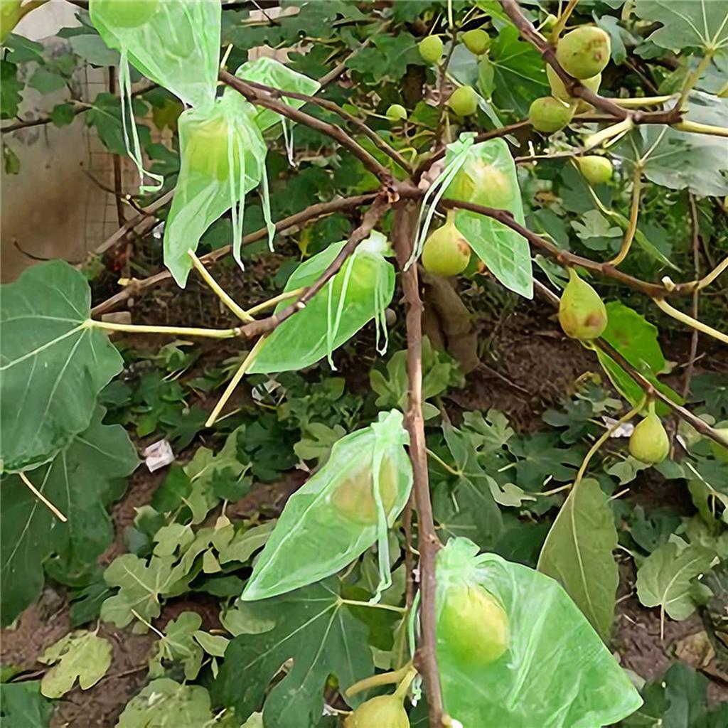 Reusable Polyester Fruit Protection Sleeves for Orchard Gardening Bird Insect Prevention Breathable Drawstring Design