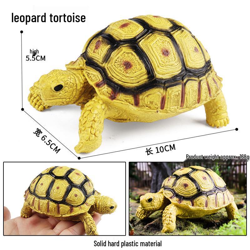 Cross-Border Children's Cognitive Amphibian & Reptile Tortoise Model Fish Tank Ornament Toy