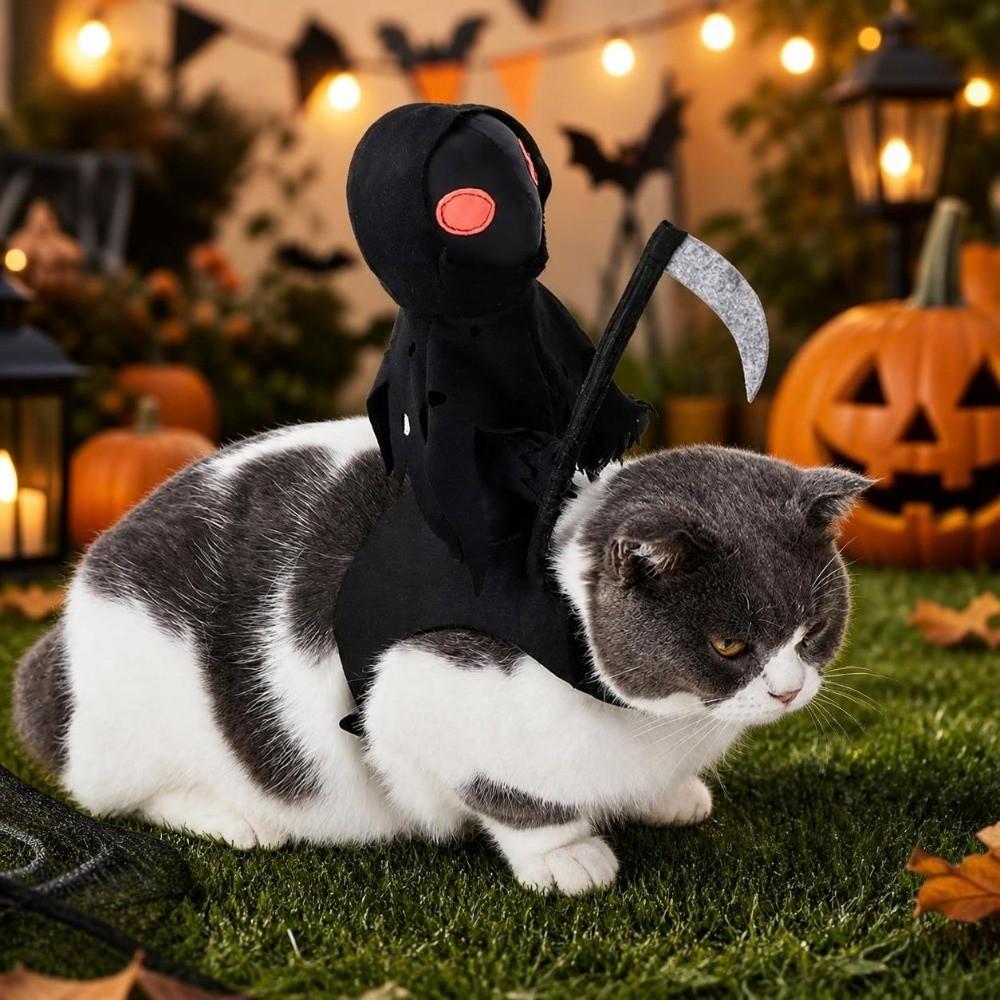 Lustiges Hundekostüm Kreatives Hundesattel-Kostüm Hund Geisterreiter-Kostüm Halloween-Party