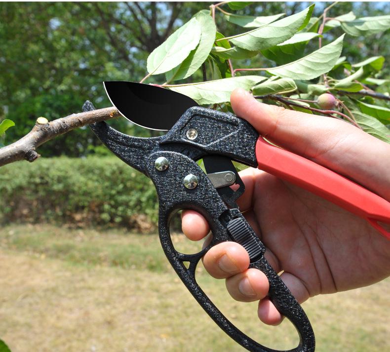 Horticultural Labor-Saving Pruning Shears: Powerful, Segmented Design for Thick Branches and Fruit Trees