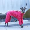 Haustierkleidung Hund Kleiner Greyhound Herbst Winter Polar Warm Rollkragenmantel Entzückendes Dinosaurierkostüm für Kleine Mittlere Große Hunde