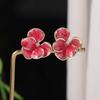 Luxury Flower Stud Earrings Rhinestone Five Petals Earrings 3D Petal Flower  Earrings  Women