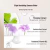SOCORSKIN Orange Scent Makeup Remover Wipes