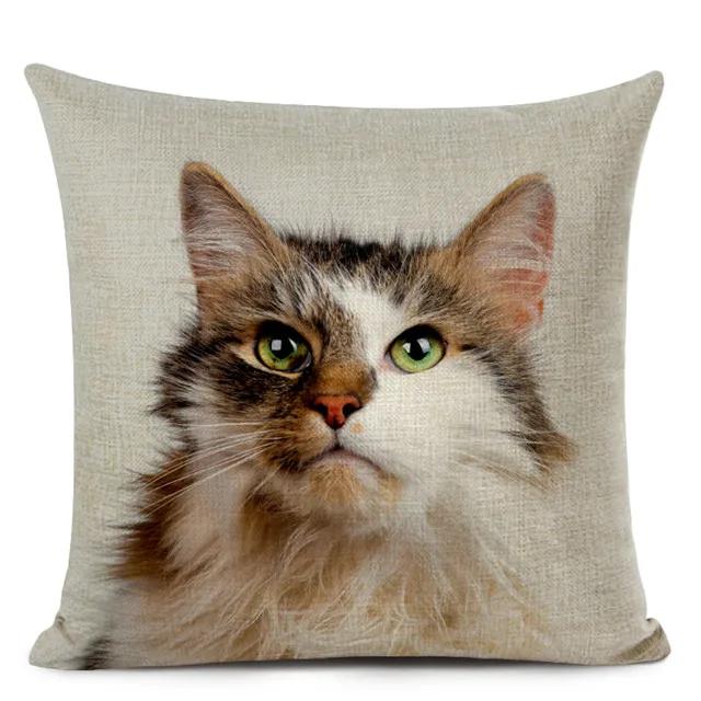 Haustier Katze Print Wurf Kissenbezug Niedliche Kurzhaar Dekorative Kissenbezug für Wohnkultur