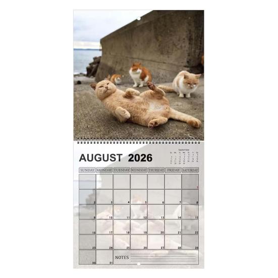 2026 Cat Ball Calendar Jan.2026 - Dec.2026 12 Monthly Wall Calendar with Hilarious Feline Moments Gag Gift for Cat Lovers