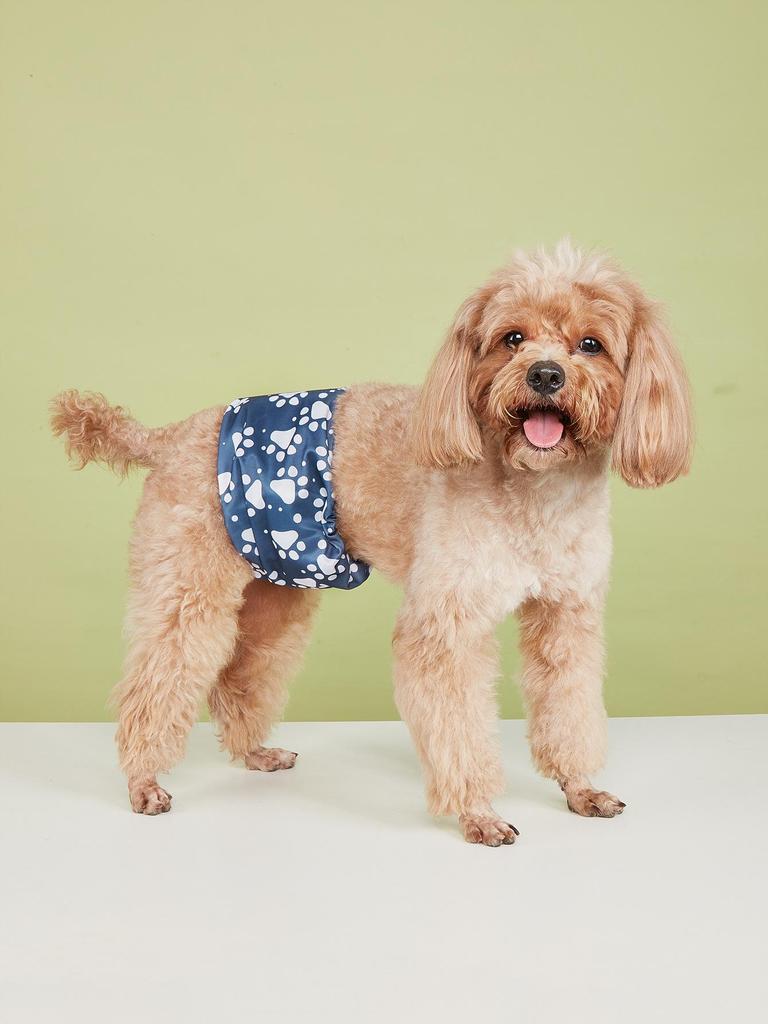 Scutec Elegant în Carouri pentru Câini & Pad Absorbent pentru Câini Masculi