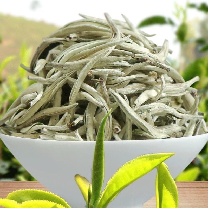 White Hair Silver Needle Premium Tè bianco Moonlight Tè bianco Ancient Trees125g