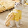 Dog quad moon velvet rainbow stripe autumn and winter warm teddy bear small dog cat pet clothes