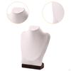 Display Holder for Pendant Chains and Jewelry Busts