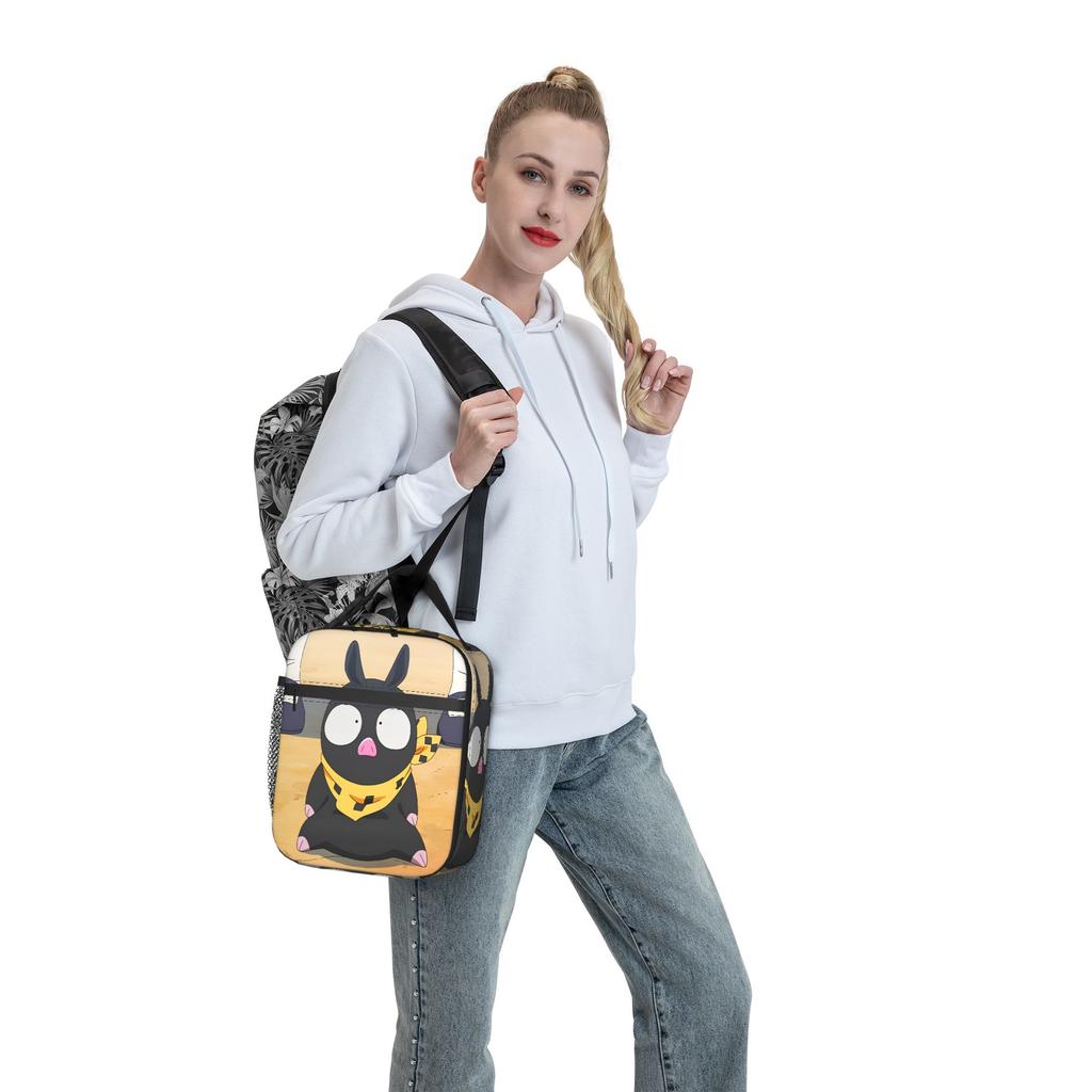 P-chan Ranma 1/2 Lunch Bag  Vintage Lunch Box For Women Picnic Portable Cooler Bag Oxford Graphic Design Thermal Lunch Bags