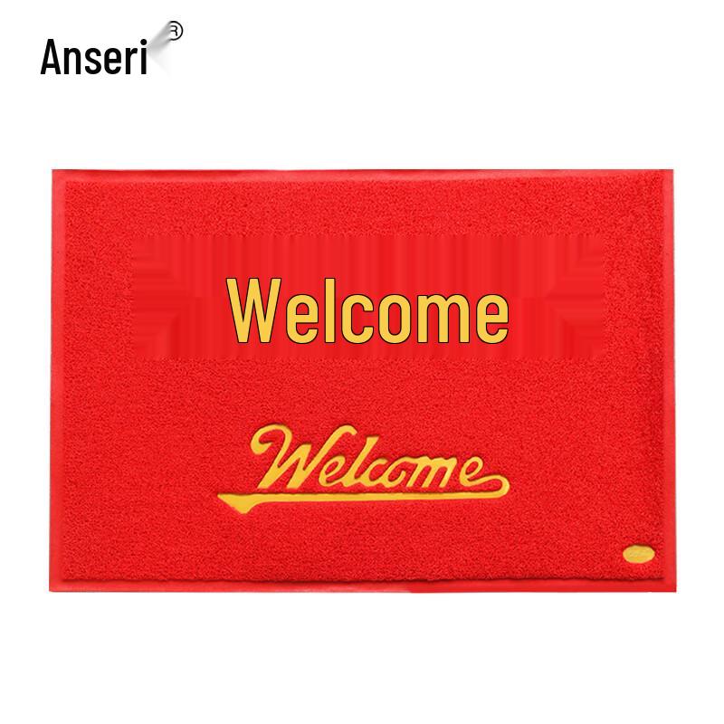 Ansrry Double Stripe PVC Floor Mat