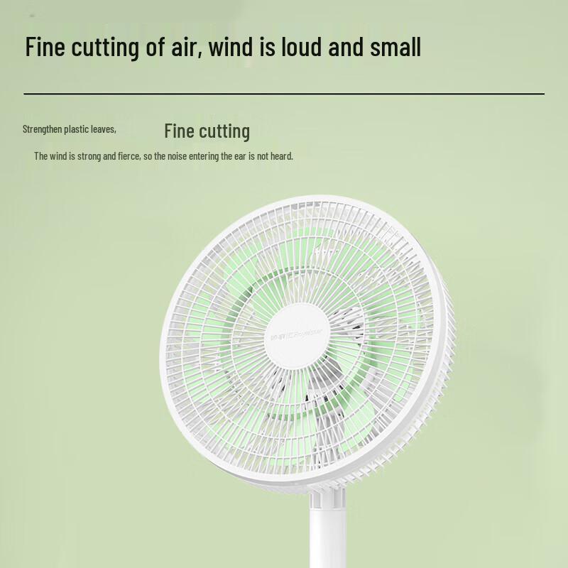 Royalstar FS12-301B Quiet Oscillating Pedestal Fan CN plug (adapter included)