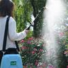 A74E-Powered Sprayer 5L Lawn Sprayer Weed Sprayer With 2 Spray Nozzles Telescopic Wand And Adjustable Shoulder Strap