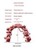 Wedding Celebration Balloon Arch Decoration Stand for Bridal Room & Birthday Party