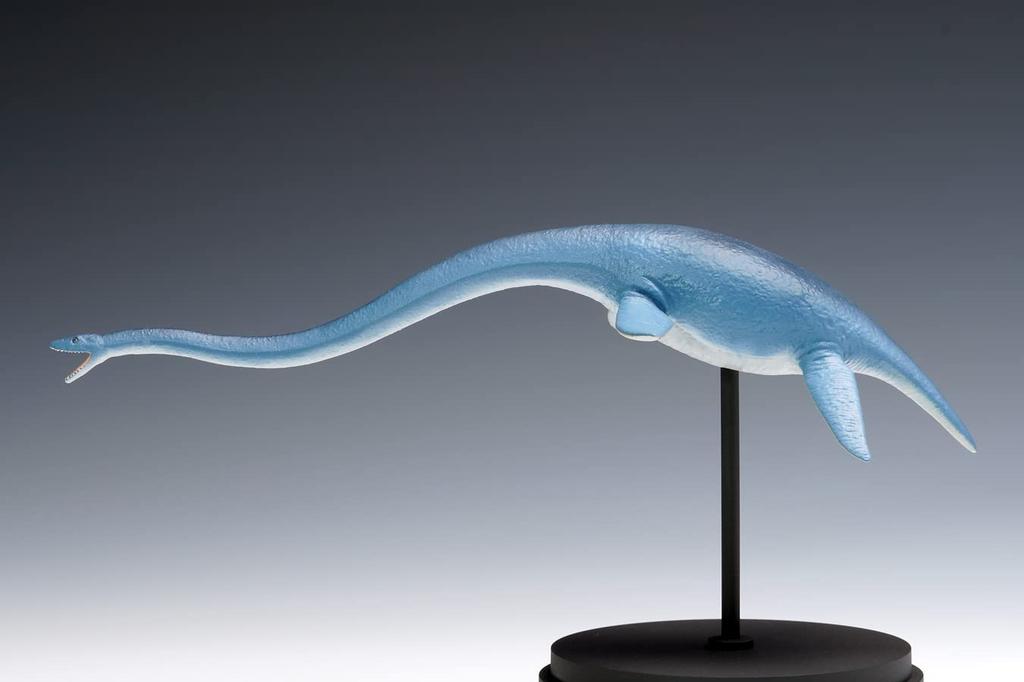 Wave Futabasaurus Ryu Total length 23cm Plastic model Molded color 1/35 approx. OG-031