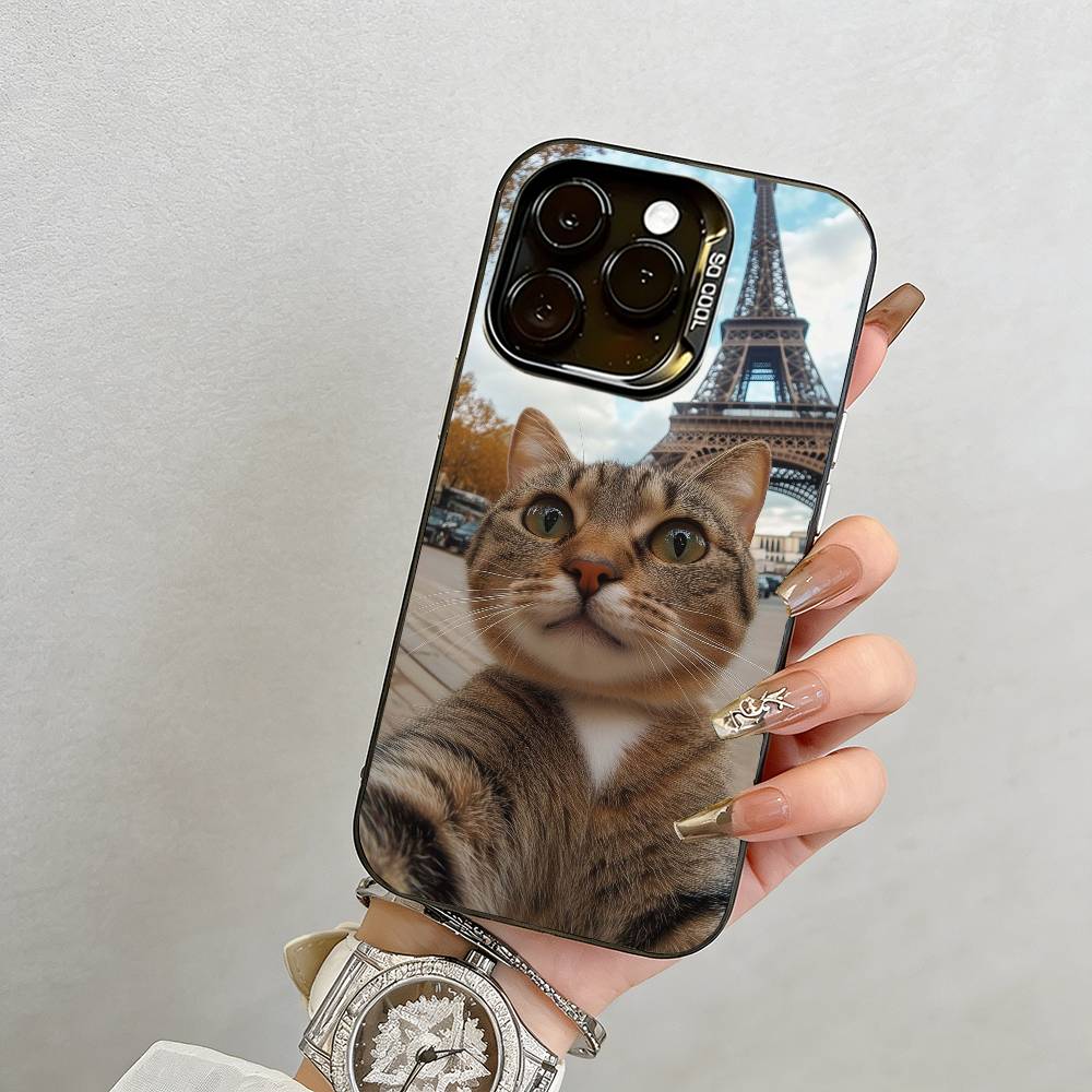 Cat Phone Case For iPhone 17,16,15,14,13,12,11 Plus,Pro Max,XS,Colorful Silver Phone Case Funda Cover