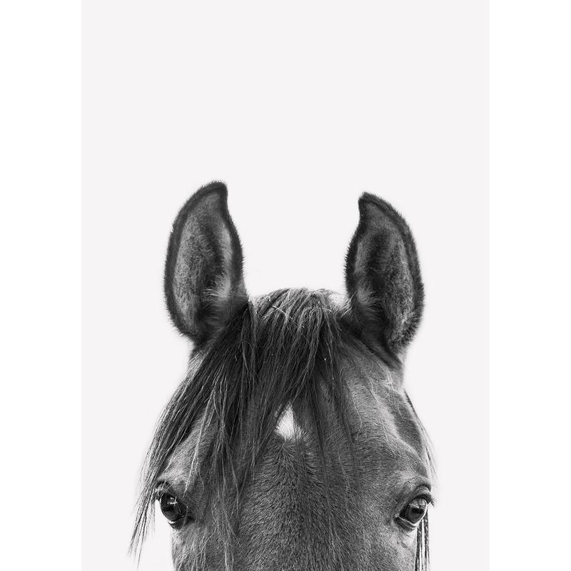 

Black White Horse Portraits Farmhouse Art Print and Poster Canvas Painting Animals Picture for Living Room Home Decor Cuadros 21cm×30cm NoFrame