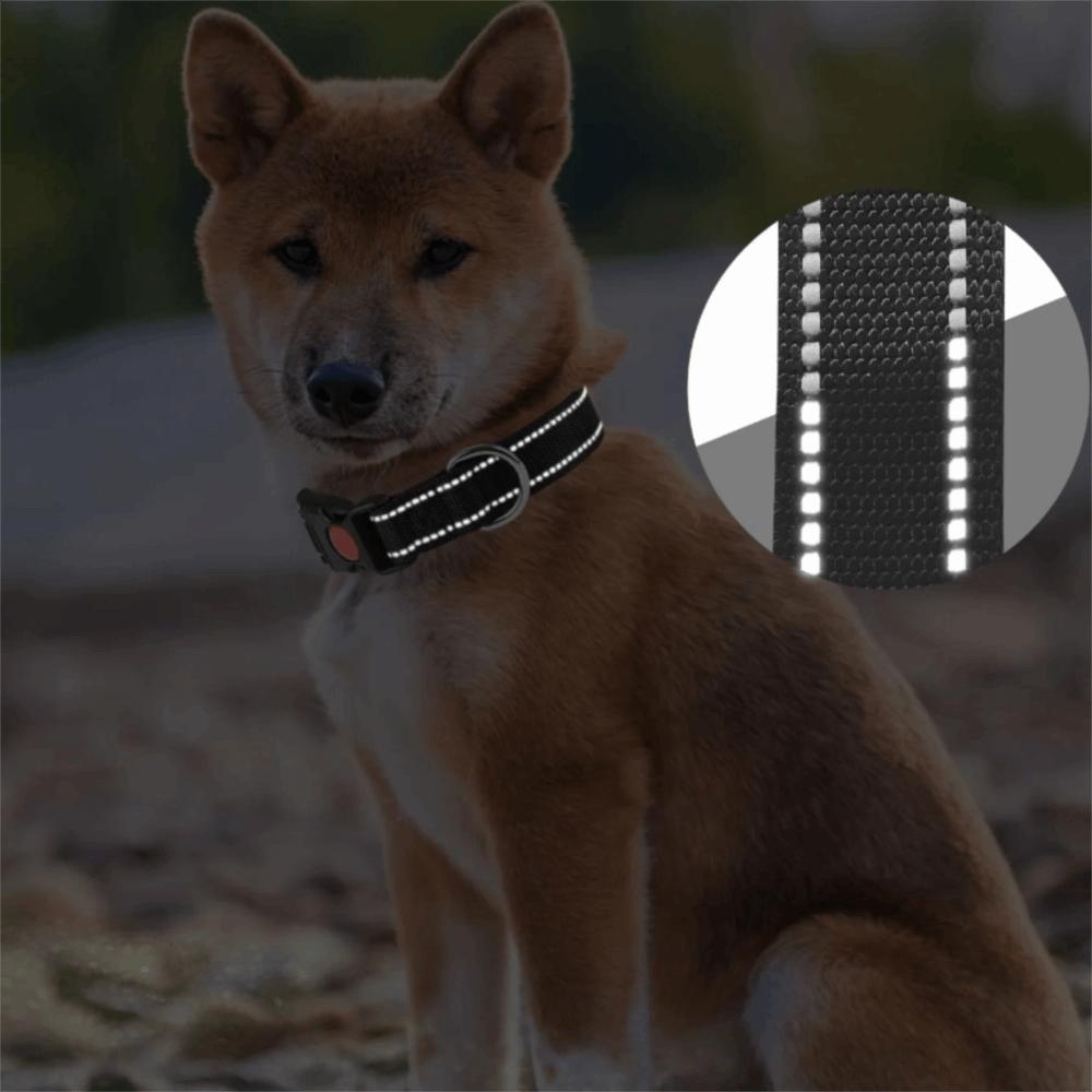 Nylon Reflective Dog Collar Safety Buckle No Pull Training Collars Walking The Dog
