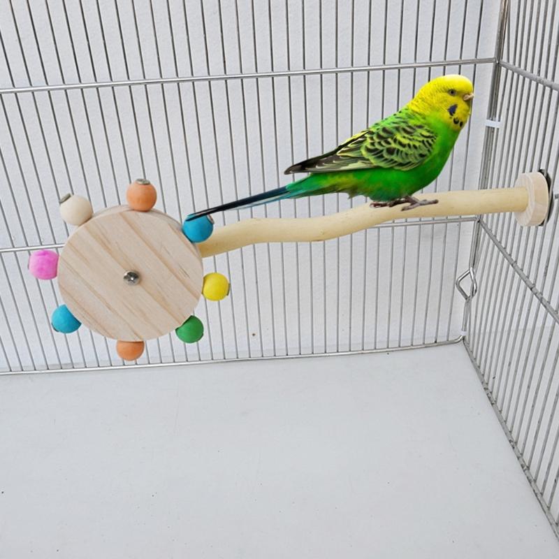 Vogel Sitzstange Natur Molar Ständer für Papageien Conure Supplies Wellensittiche Schleifkratzer für kleine mittelgroße Papageien Spielzeug