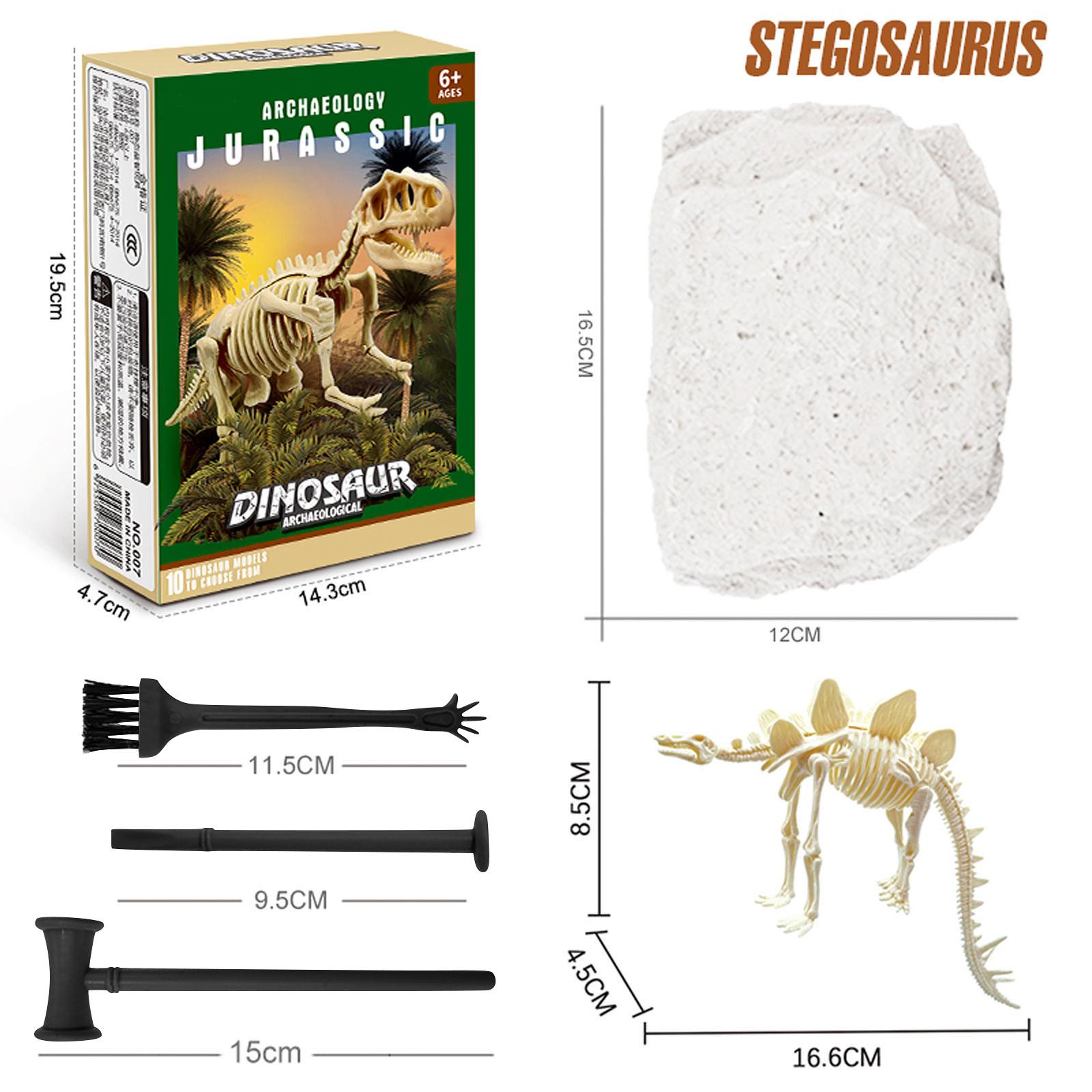 

Комплект для раскопок динозавров Sagit. Моделирование археологии. Раскопки окаменелостей. Дети учатся. One Size