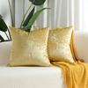 Velvet Decorative Throw Pillow Covers Cushion Cover Pillow Case for Sofa Couch Bed Chair,Soft Square Throw Pillows 18x18 Inch,Set of 2