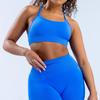 Seamless Matte Nylon Yoga Bra With Cross Back Design For Fitness And Workout