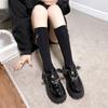 Trifle Platform Small Leather Shoes Women's Spring and Autumn 2026 New Mary Jane Women's Singles